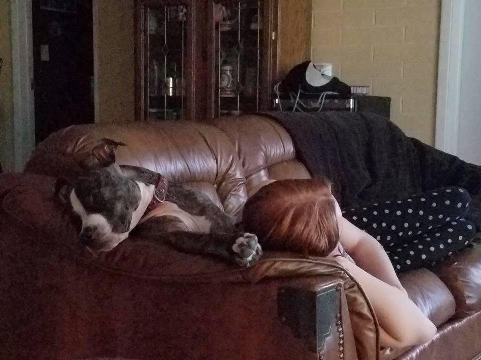 Steve Cannon's album, Mobile Uploads