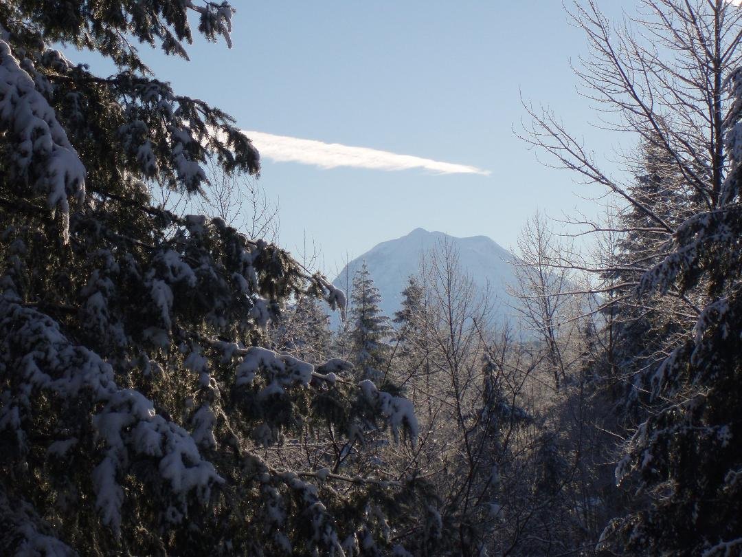 Our view of Mount Rainier, when it is clear.