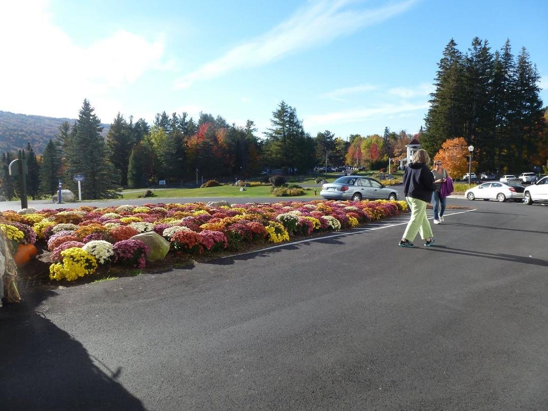 The flowers in front of the hotel.