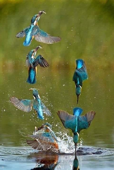 Ralph Plummer's album, Timeline photos