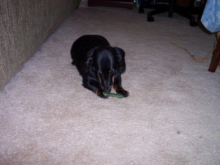 RUSTY AND HIS GREENIE