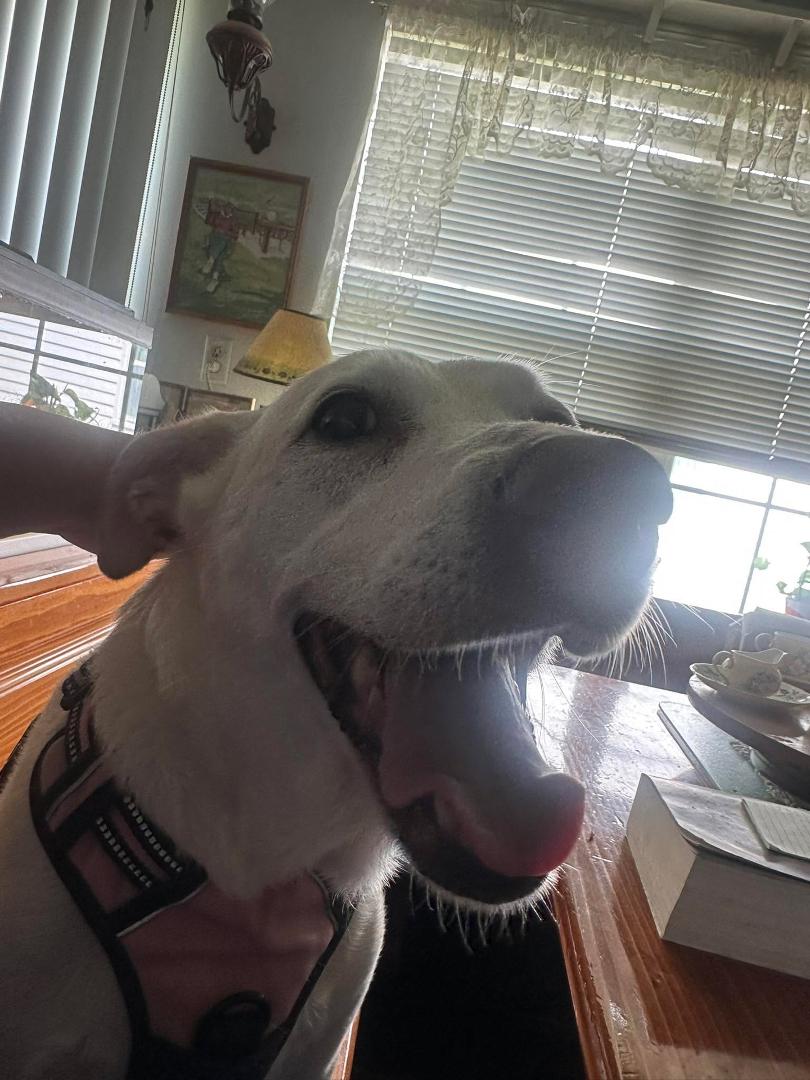 Mya’s happy to see me today!😎
