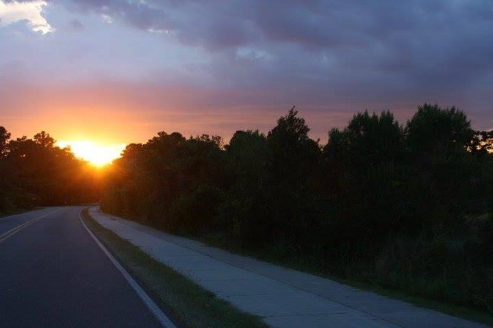 Mark Bell's album, Timeline Photos
