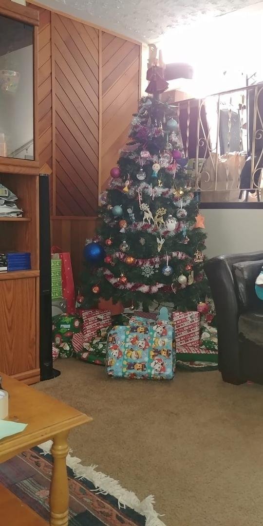 Look at what we got today gifts are being rapped and being put under the tree the girls are going to be happy this year scene with Remy