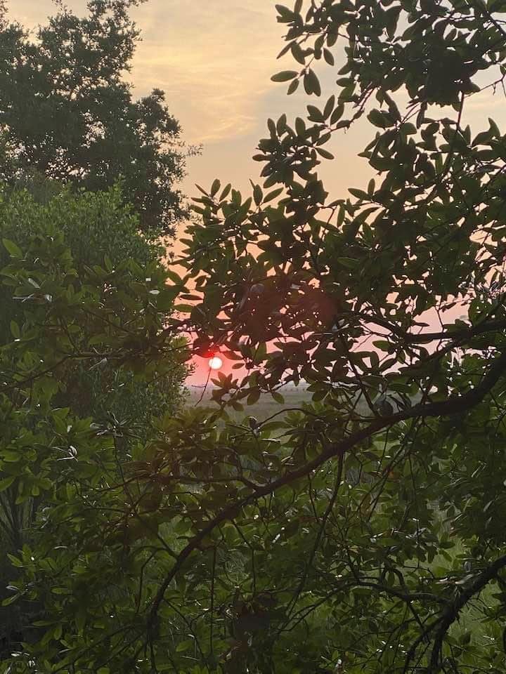 Sunrise from Murrells Inlet University where Eagles Soar …