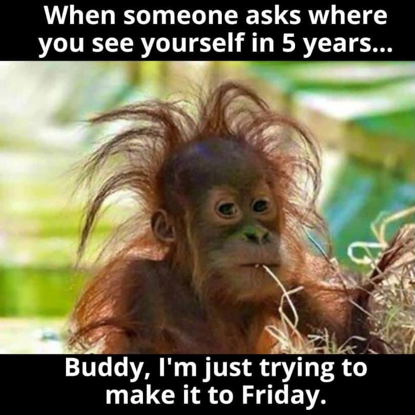 Yep