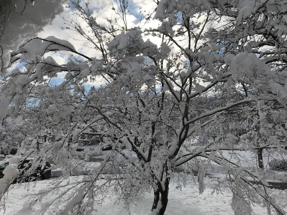 Sharon Tant's album, Timeline Photos