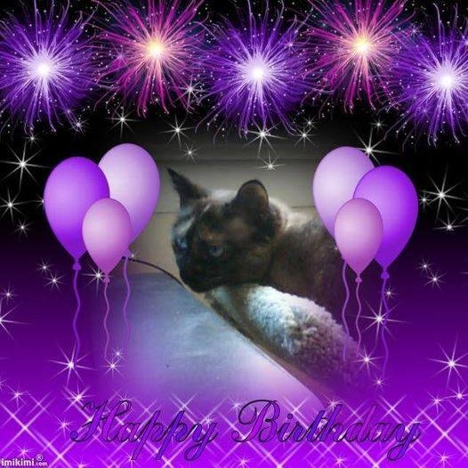 Grace Wilson's album, Timeline Photos