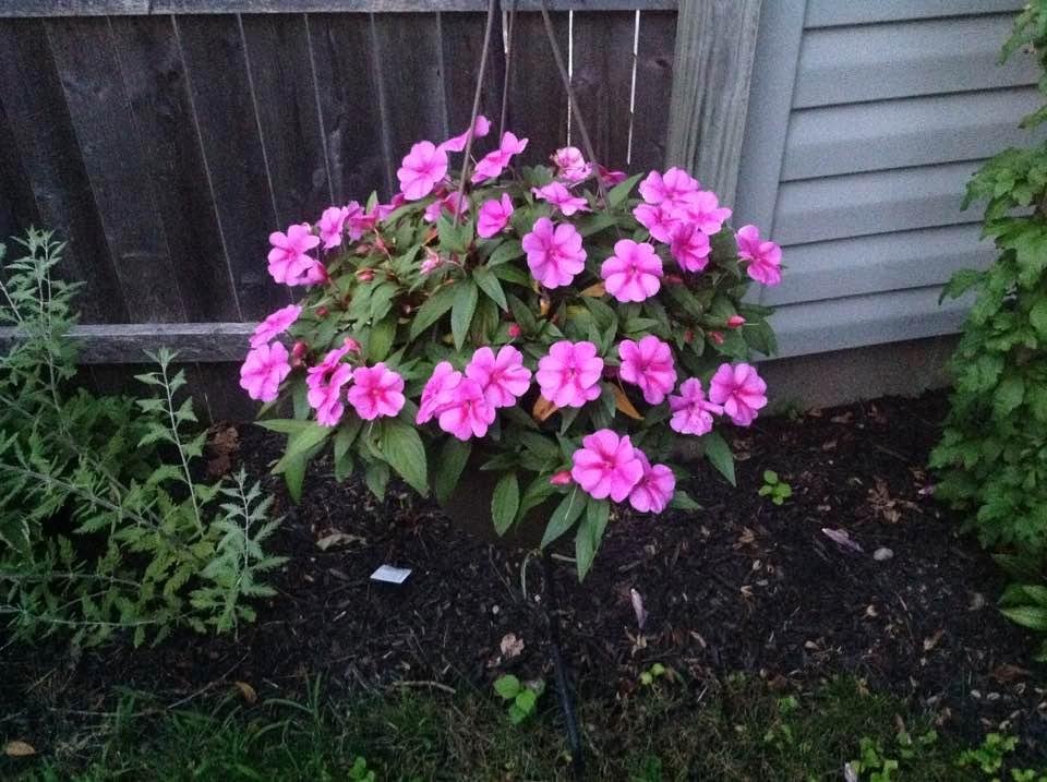 James Oitzinger's album, Timeline Photos