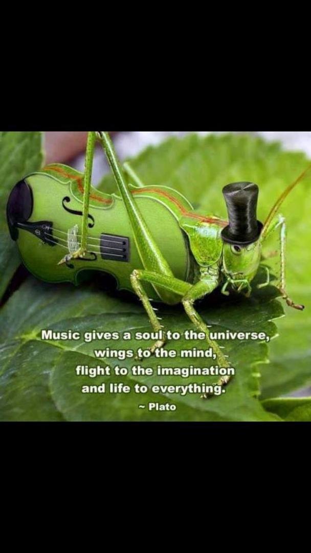 Thankfulness train.  Day 11
