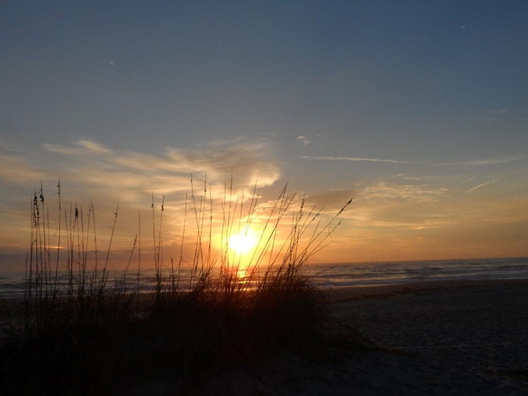 Bruce Guarnier's album, Timeline Photos