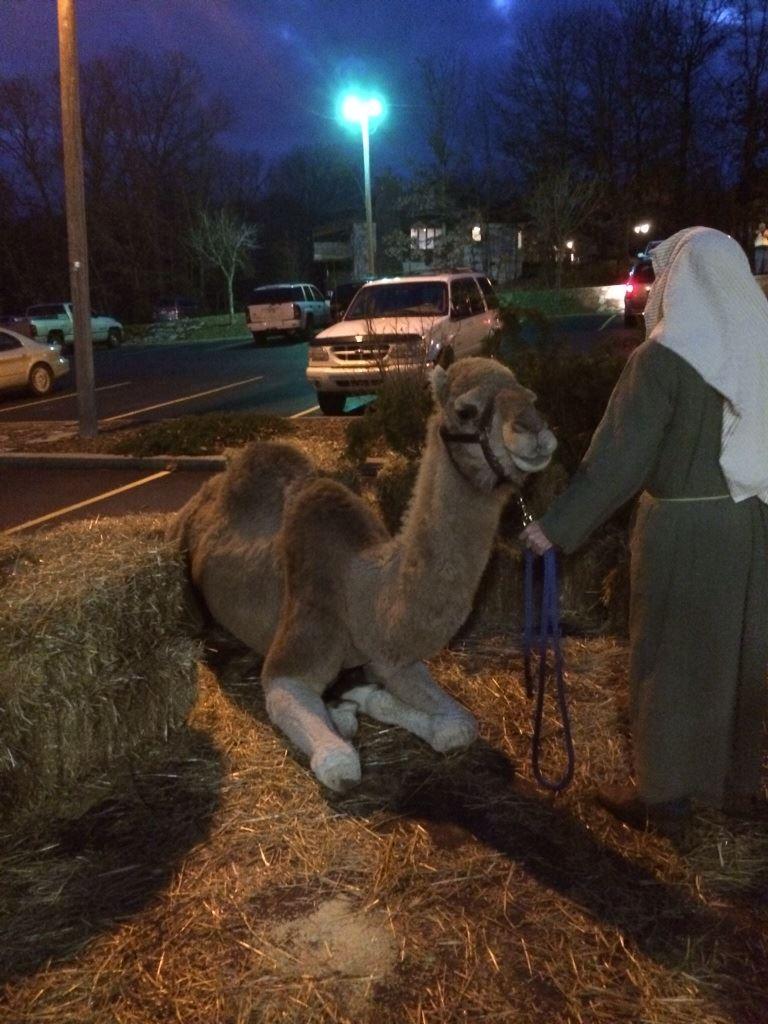Christmas Nativity!