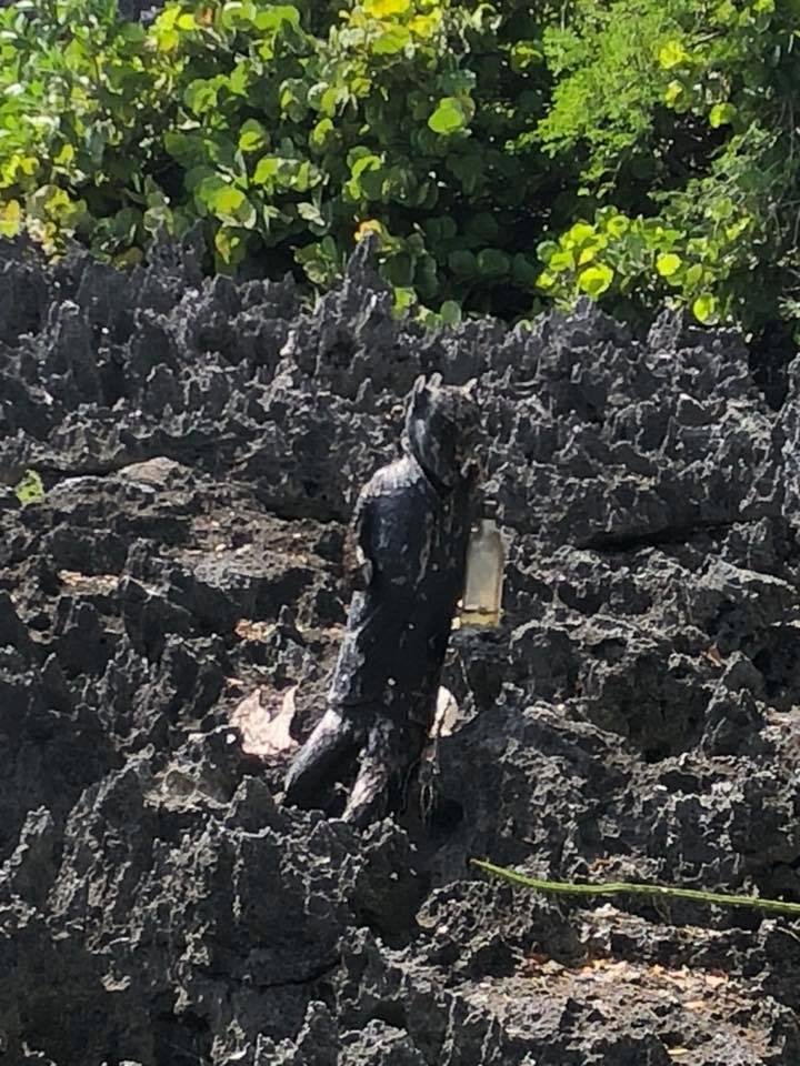 Judith Cooper Randall's album, Mobile Uploads