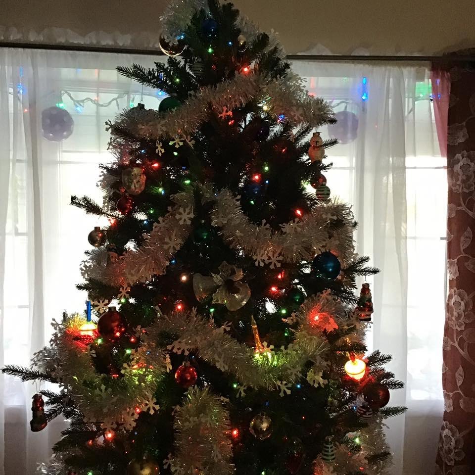 Merry Christmas from West Virginia 🌲☃️🦌🍹