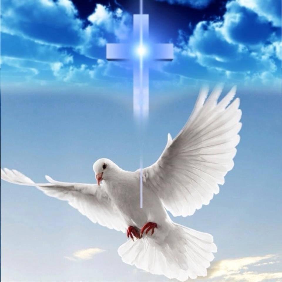 Where the spirit of the LORD is there is freedom!!!!