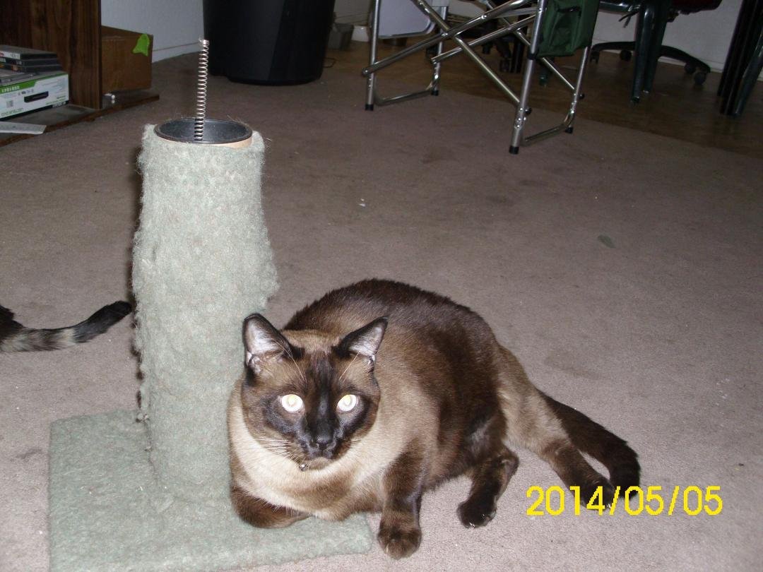 This is Jack.