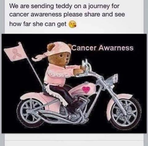 cynthia wright's album, Timeline photos