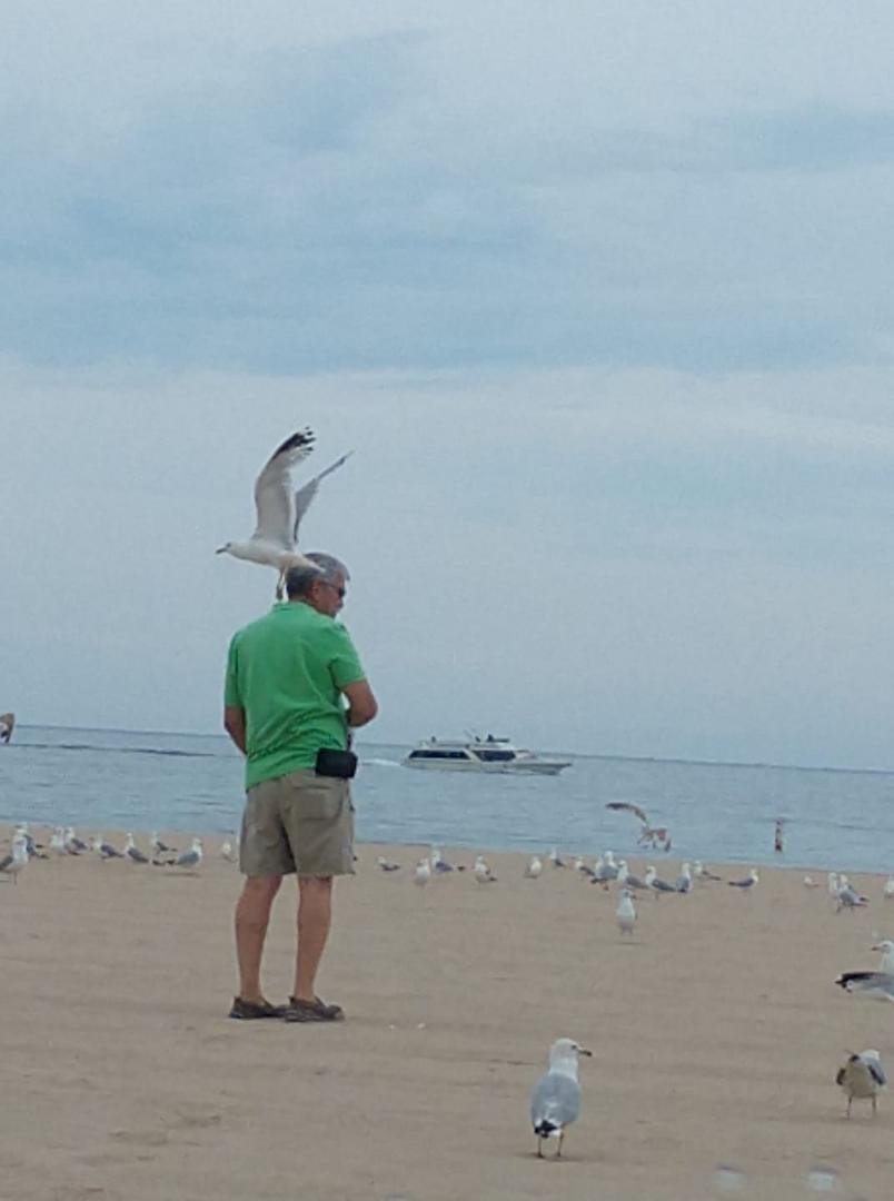Birdman!