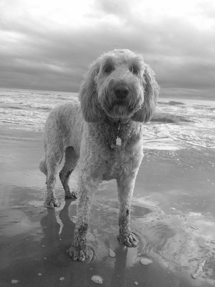 Milie waiting for me to catch some fish