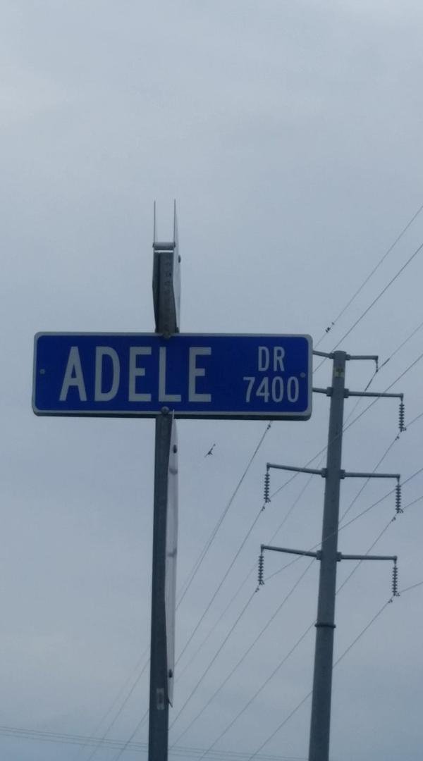 🎵Hello from Adele Drive...🎵