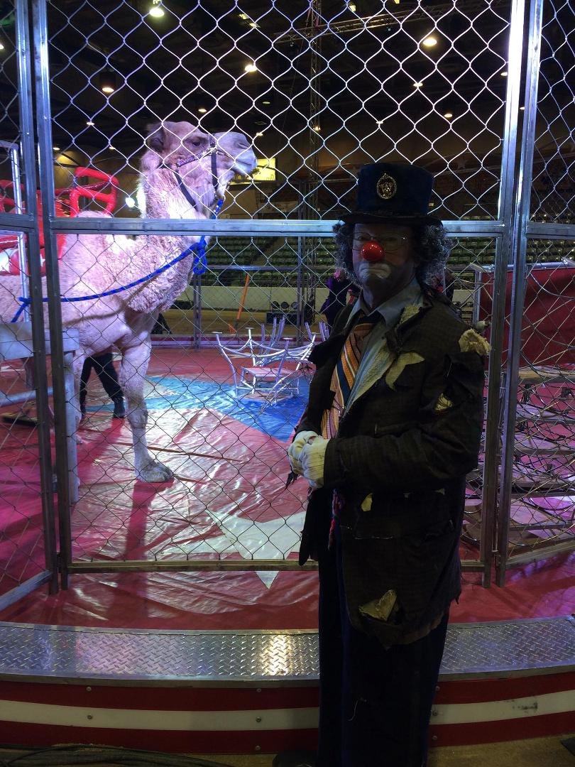 Circus time