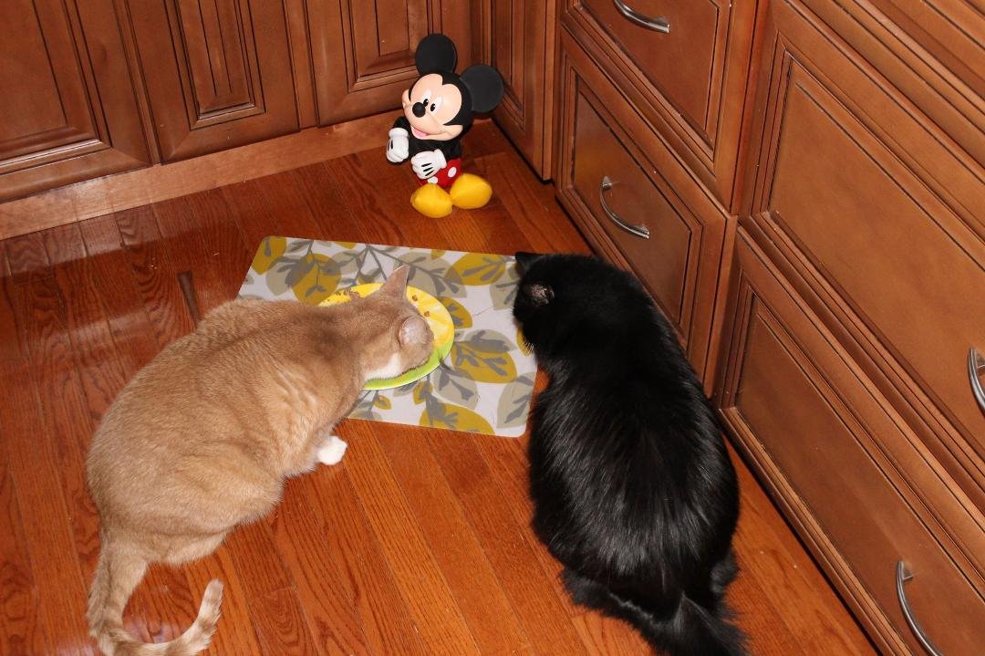 Hey you want dessert when you're finished eating? well let's look around and see what we find in the corners