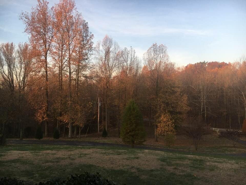 I’m was in my sun in law front yard in Kentucky this morning