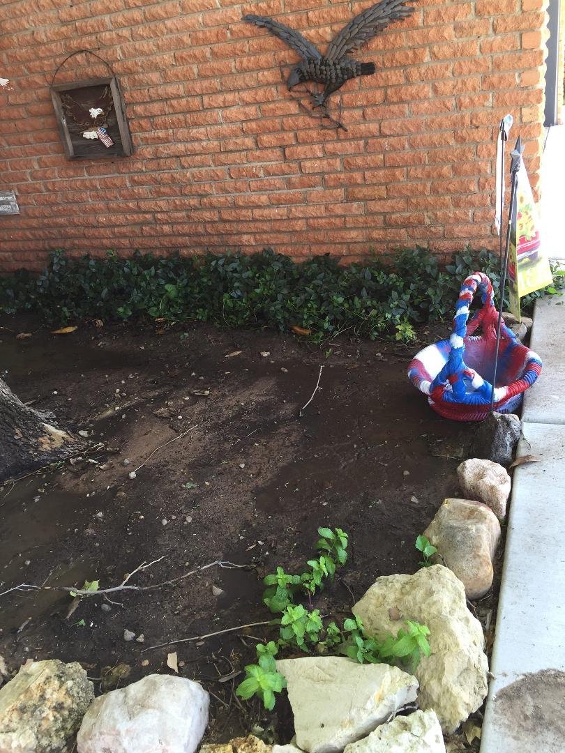 The green in the fore front corner is some MINT that I transplanted! The big basket was once Aunt Jo's. I planted mint in it but not enough depth ... Any suggestion for something to go there?