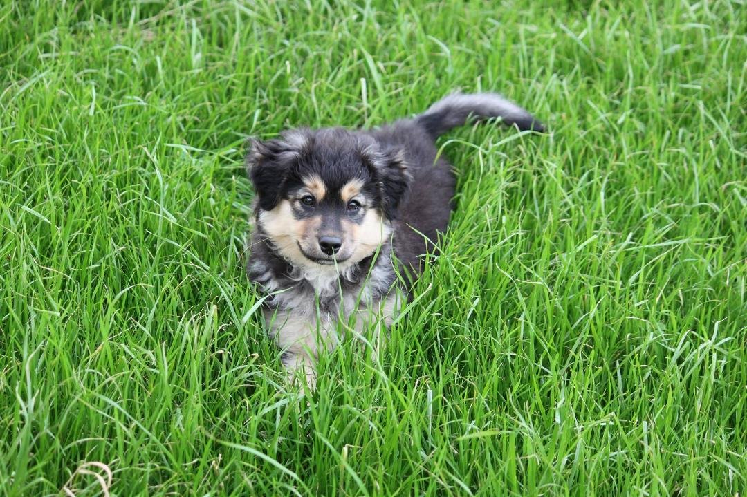 My newest member of my family. Meet Maggie Mae Turner.
