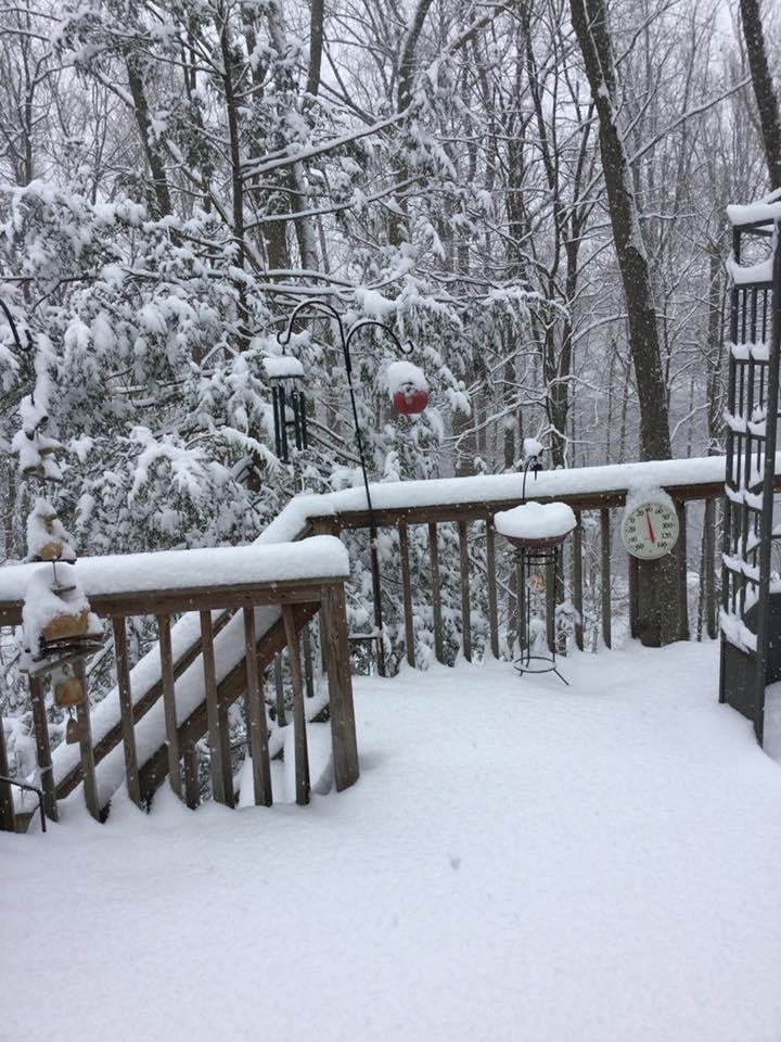 April 2: 1/2 ft of snow and still coming down!