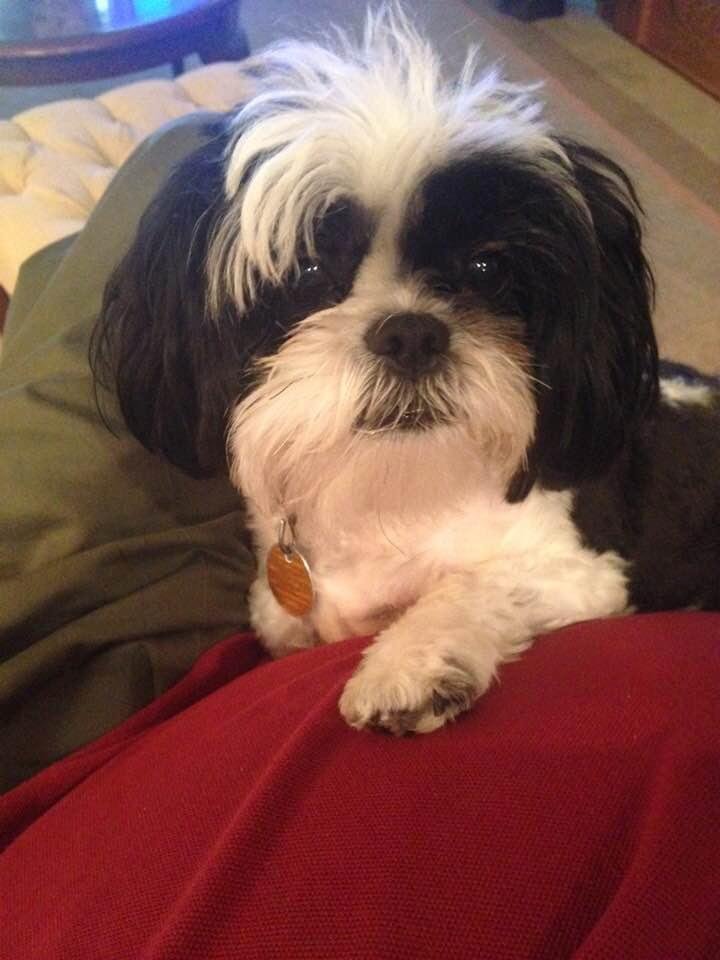 My “shadow”. The best ever.