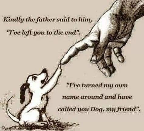 David Smith's album, Timeline Photos