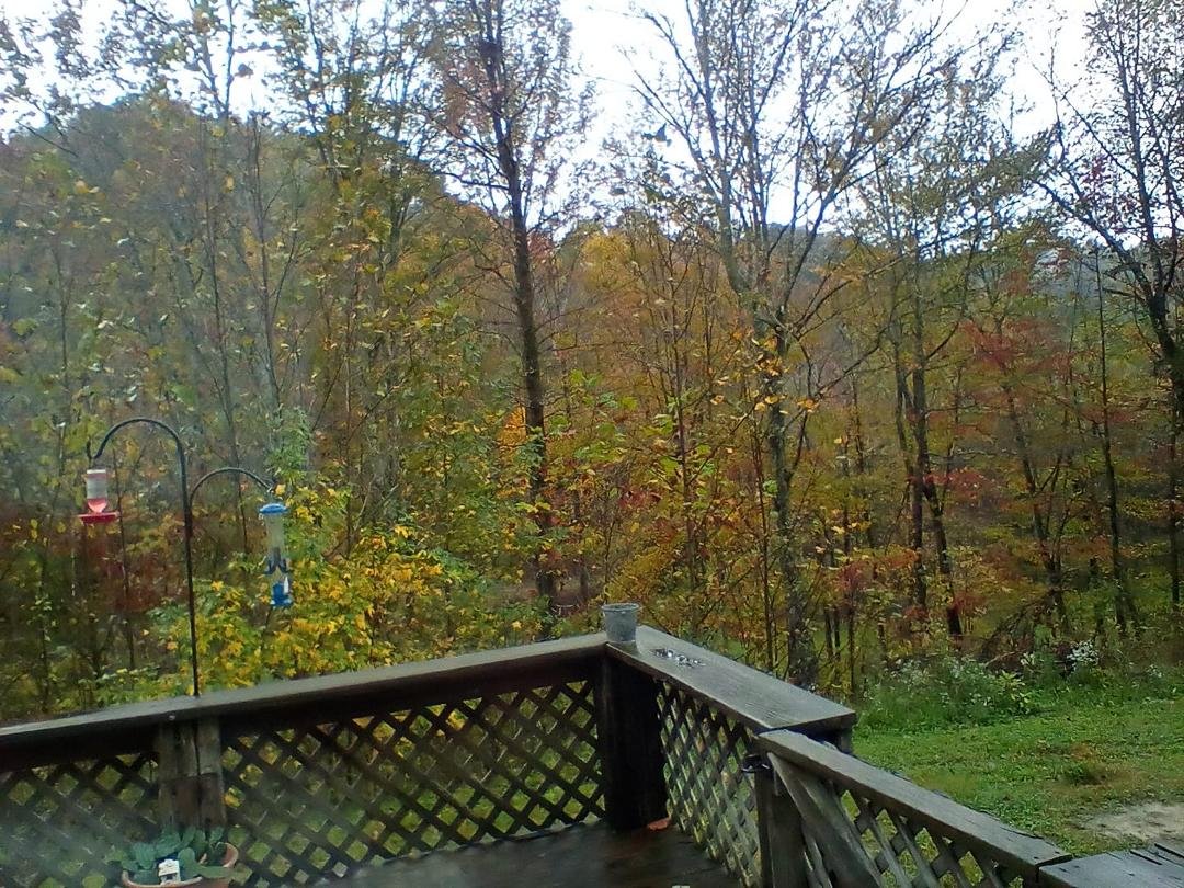 Good Fall mountain morning, from my front porch.