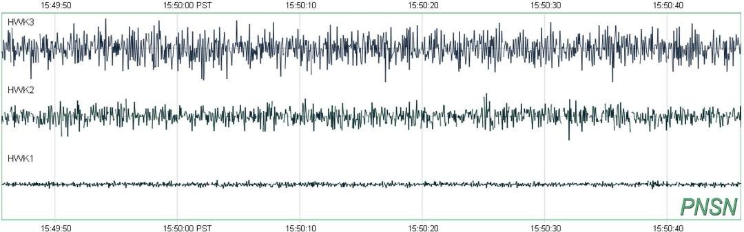 here's the seismometers 20 minutes later - STILL ROCKING THE HOUSE
go to this link to view to view them yourself http://pnsn.org/seahawks/quickshake