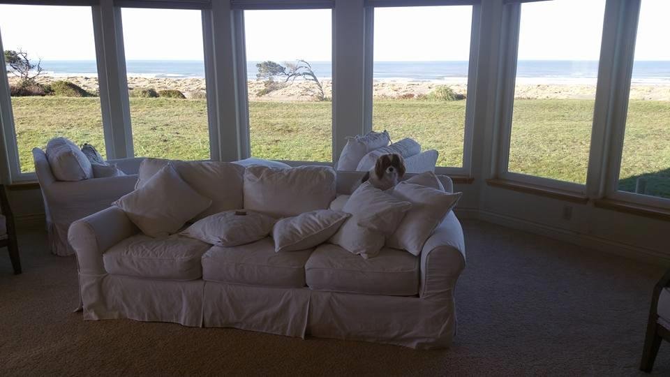 It's a beautiful January day in McKinleyville by the sea