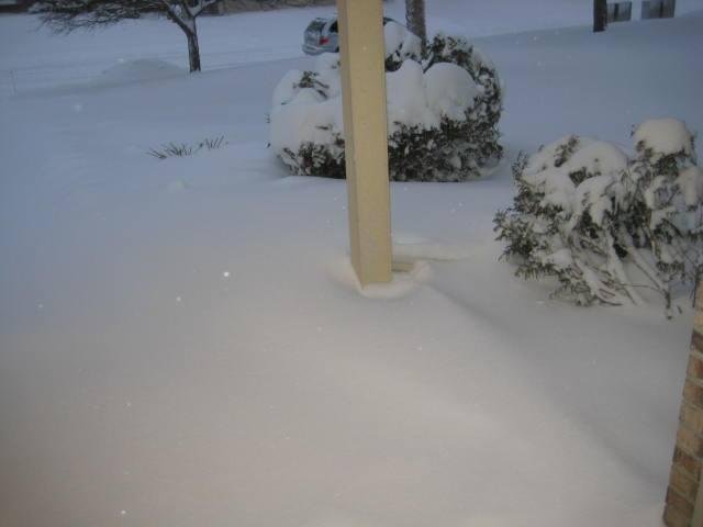 Bradley Arnold's album, Timeline Photos