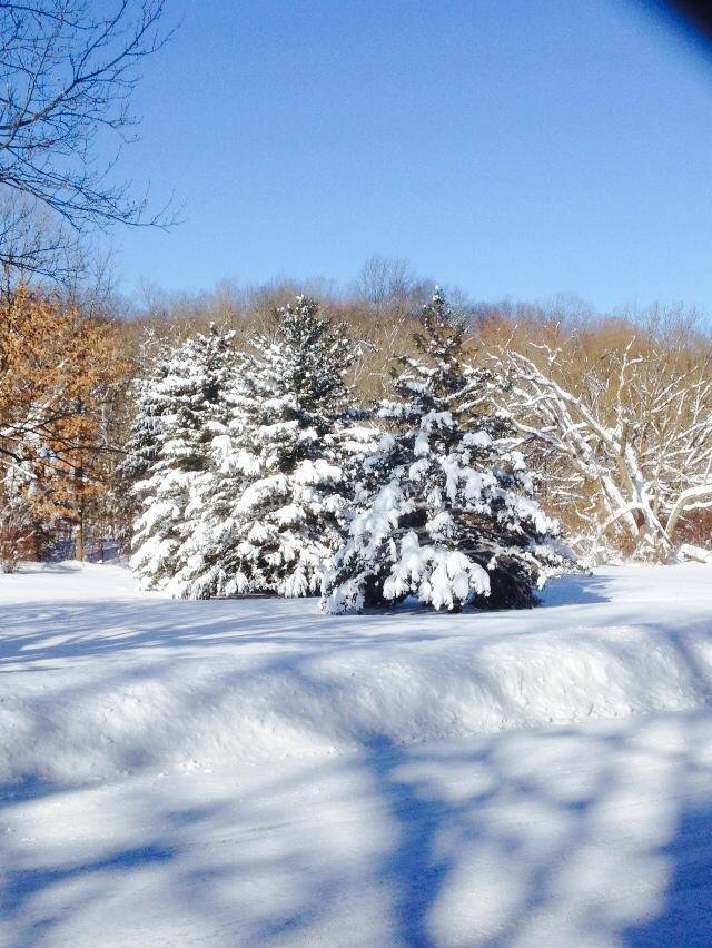 Fred Langill's album, Mobile Uploads