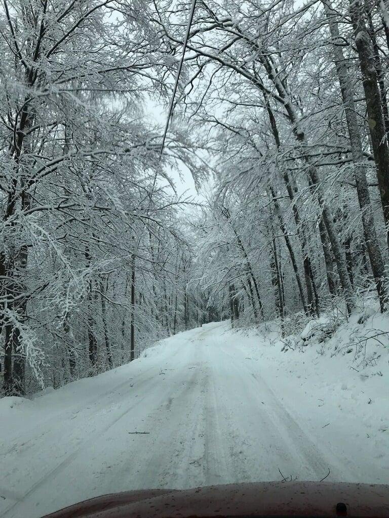New Hampshire