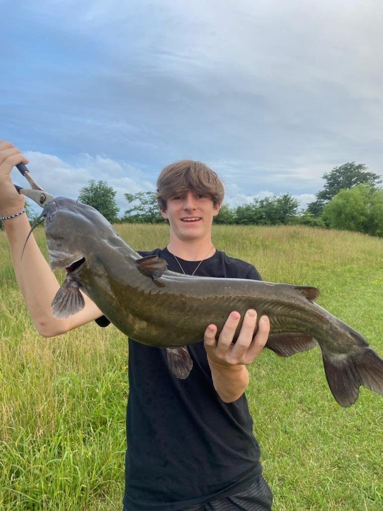 First catfish from pond. Is it channel Cat? Put out a trot line.