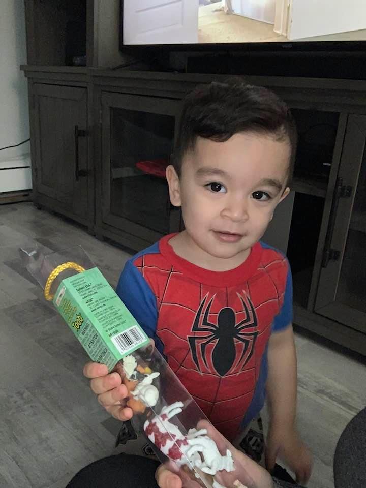 My great grandson Nathaniel. He is as smart as he is adorable. 😍