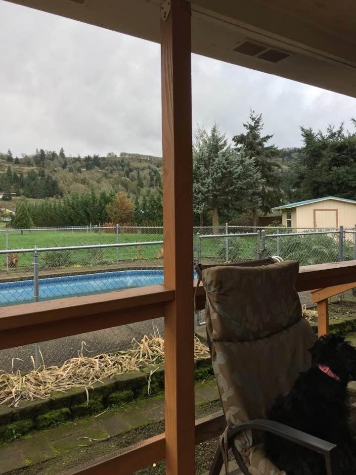 This is what I have to look at from the back porch. Lol