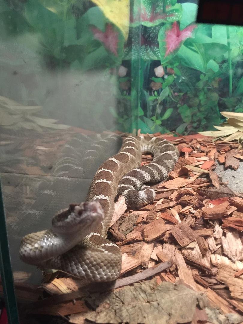 Gettin bigger