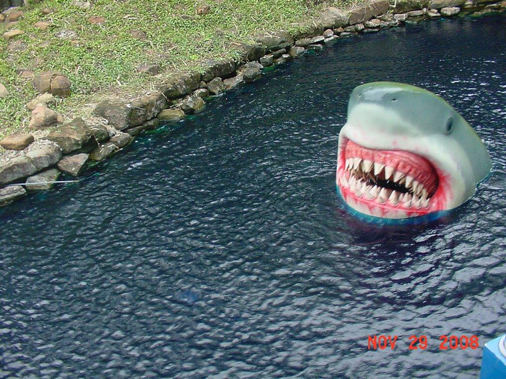I just received this memo from the SHORE CRUISE DIRECTOR, to "Please Do Not Feed the Fish"