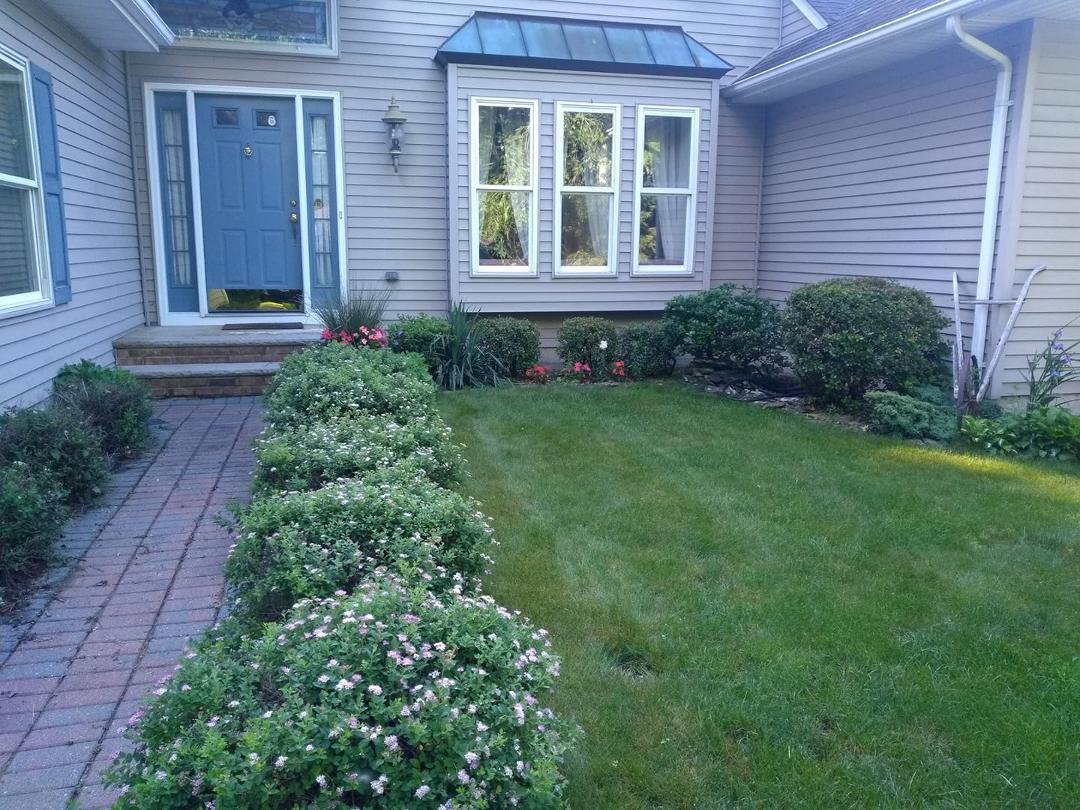 Some color starting to pop in front of the house.