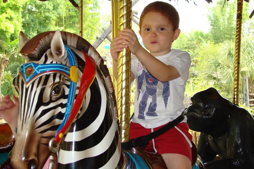 Now what kid doesn't like the merry-go-round?