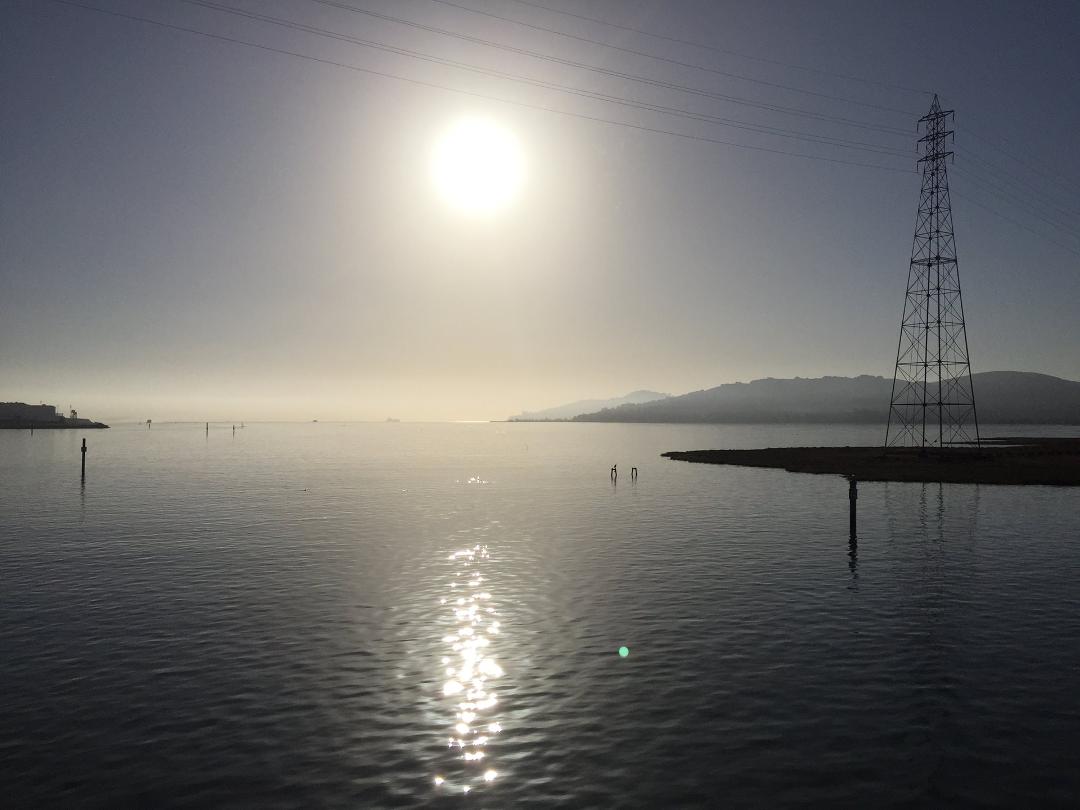 Falls imperial gift
Of thee I sing
light to my soul.

Heading out to San Francisco from Larkspur Landing on the gerry this morning.