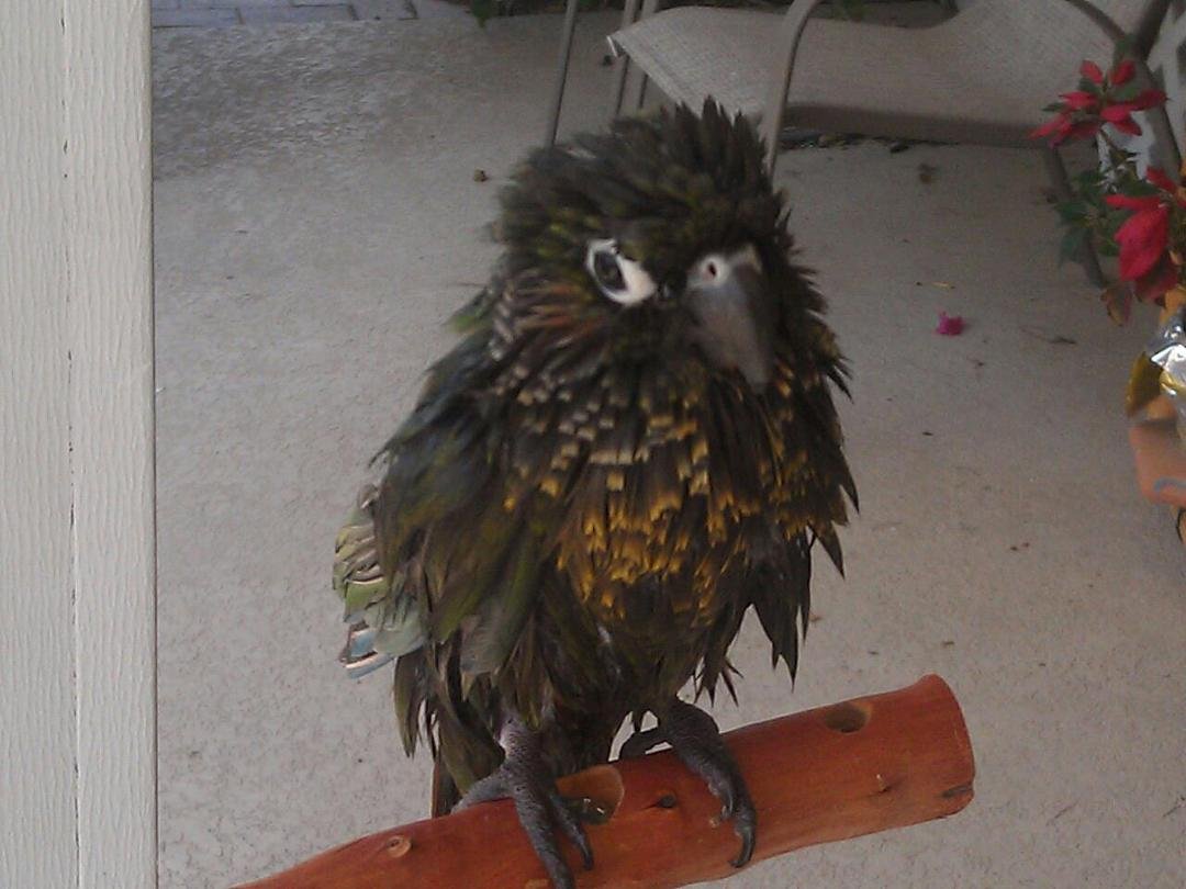 I'm sorry just couldn't get put of the bath....