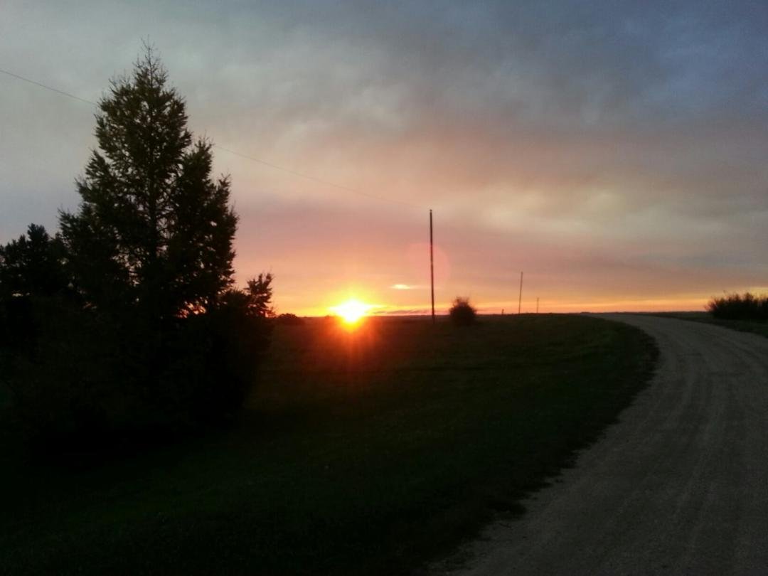 this was a sunrise taken from our lane.