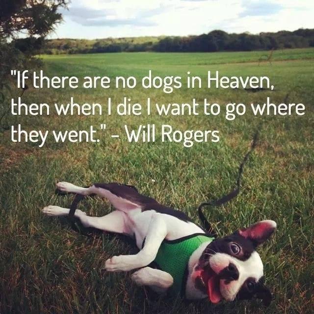 Michael Como's album, Timeline Photos