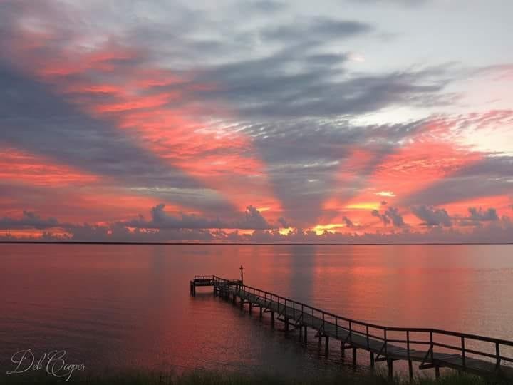 This shot taken by our local photographer...Deb Giles Cooper...is simply breath taking! Good Thursday to y'all!!!🌞🌞🌞